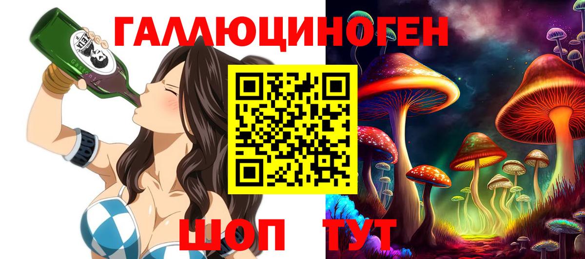 Псилоцибиновые грибы Psilocybine cubensis Сорочинск