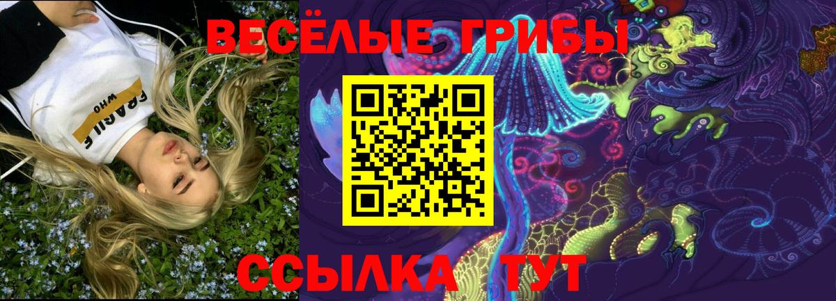 Сорочинск  Галлюциногенные грибы ЛСД  Вход с VPN 
